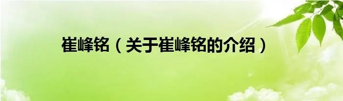 崔峰铭（关于崔峰铭的介绍）
