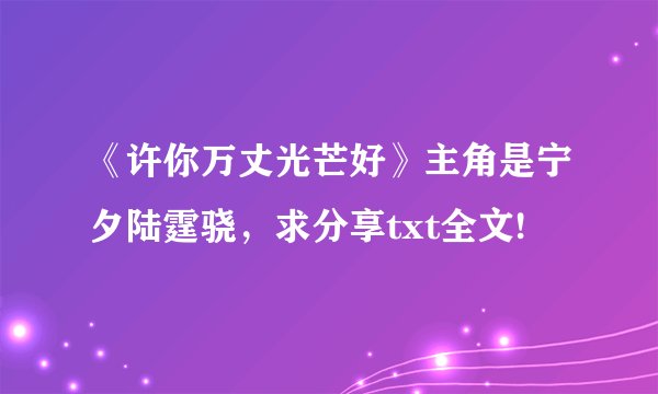 《许你万丈光芒好》主角是宁夕陆霆骁，求分享txt全文!