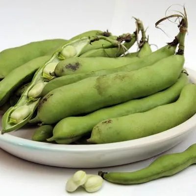 绿茶什么时候喝