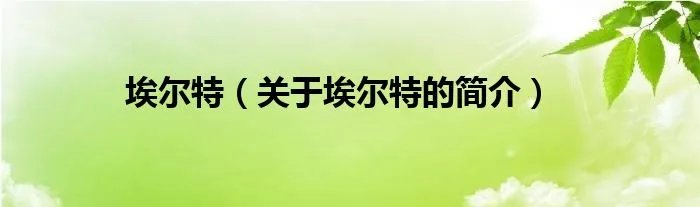 埃尔特（关于埃尔特的简介）
