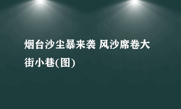 烟台沙尘暴来袭 风沙席卷大街小巷(图)