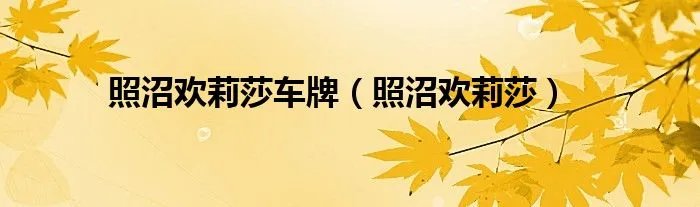 照沼欢莉莎车牌（照沼欢莉莎）