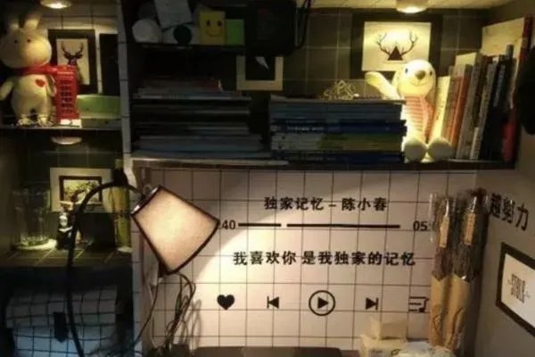“人类高质量”宿舍是什么梗?你见过最好的宿舍在哪里?