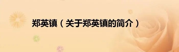 郑英镇（关于郑英镇的简介）