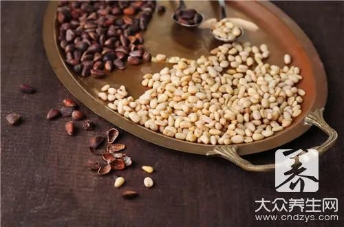 野生松子的功效与作用是什么?