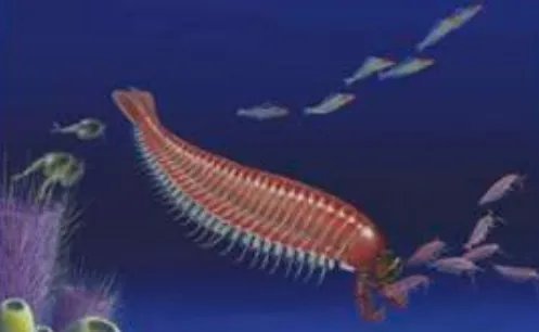 中国学者发现5亿年前四不像动物,究竟是什么生物这么神奇?
