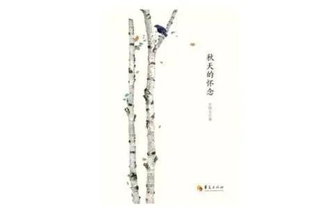 秋天的怀念读后感