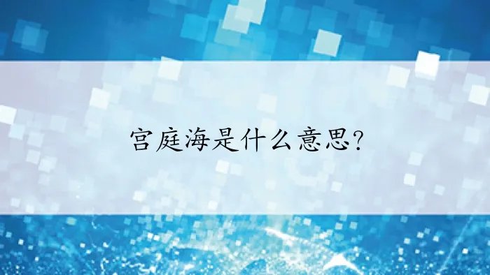 宫庭海是什么意思?