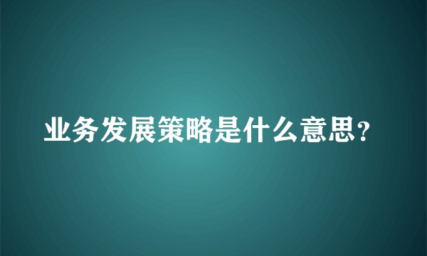 业务发展策略是什么意思？