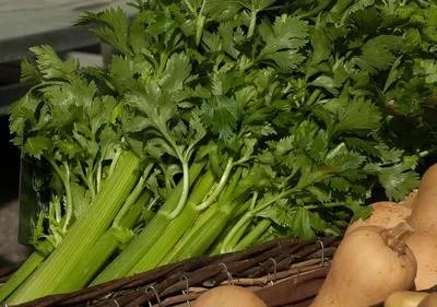 马上解决便秘的小妙招有哪些