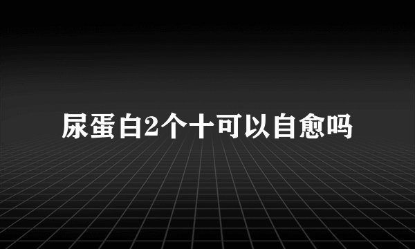 尿蛋白2个十可以自愈吗