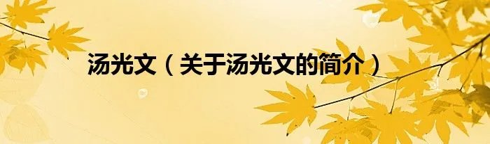 汤光文（关于汤光文的简介）