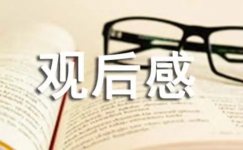 《夺冠》观后感