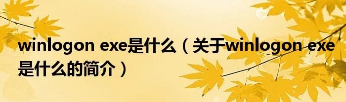 winlogon exe是什么(关于winlogon exe是什么的简介)