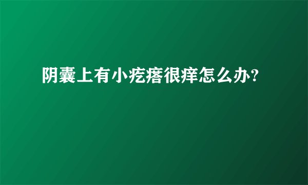 阴囊上有小疙瘩很痒怎么办?