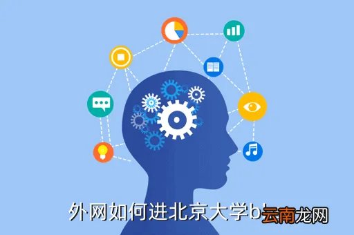 pkubbs，外网如何进北京大学bbs