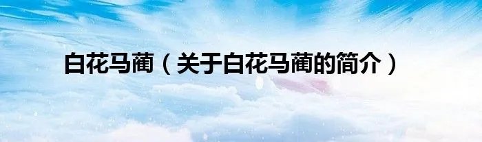 白花马蔺(关于白花马蔺的简介)