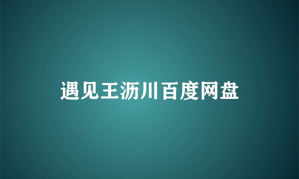 遇见王沥川百度网盘