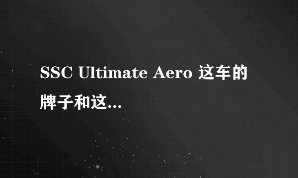 SSC Ultimate Aero 这车的牌子和这品牌的车型