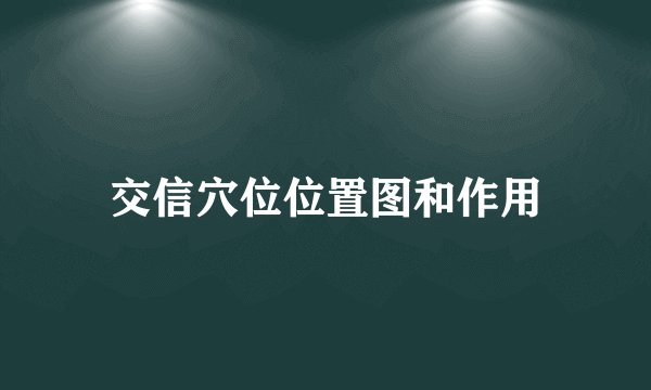 交信穴位位置图和作用