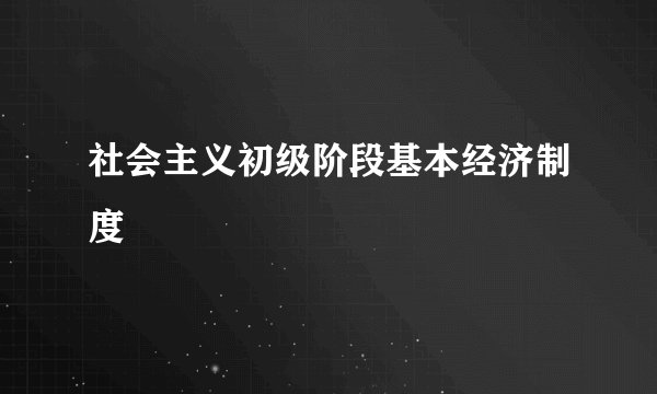 社会主义初级阶段基本经济制度