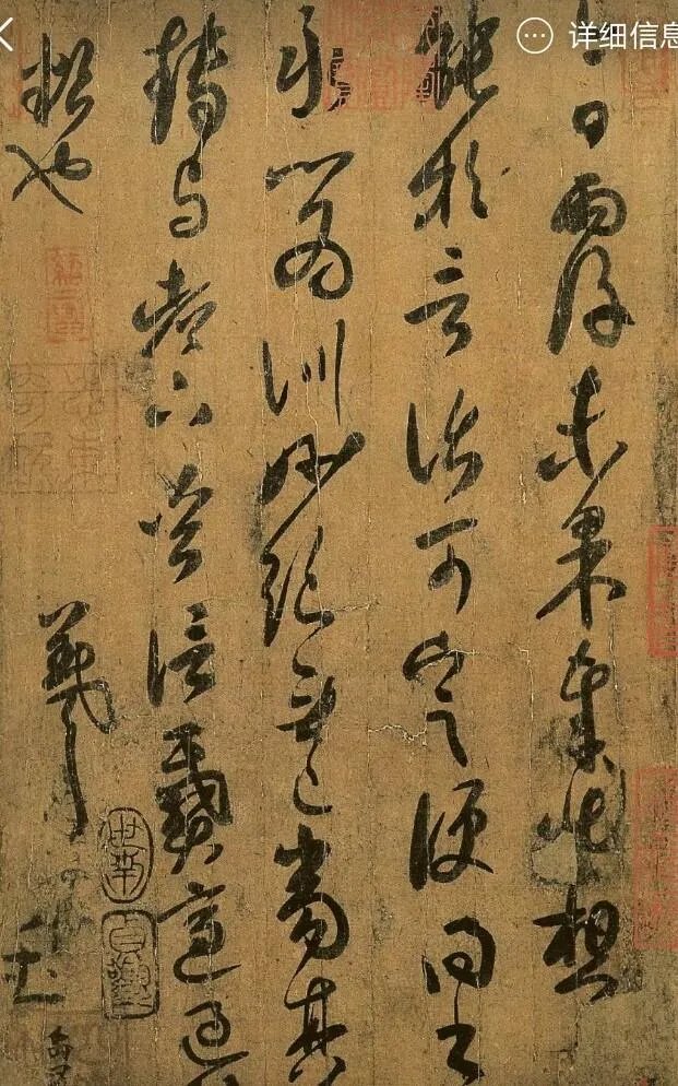 怎样评价董卿的书法作品?