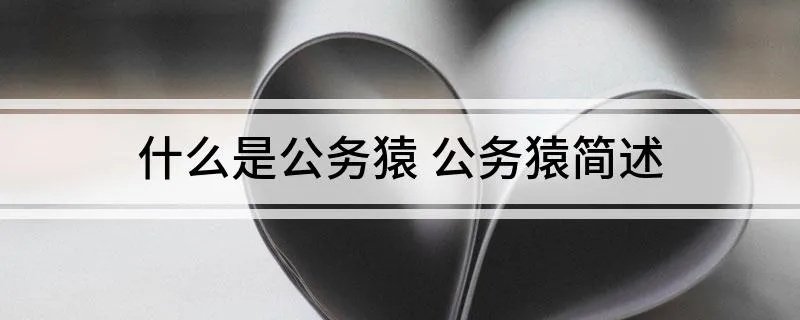 什么是公务猿 公务猿简述