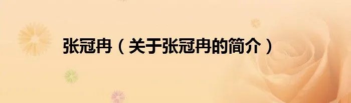 张冠冉（关于张冠冉的简介）