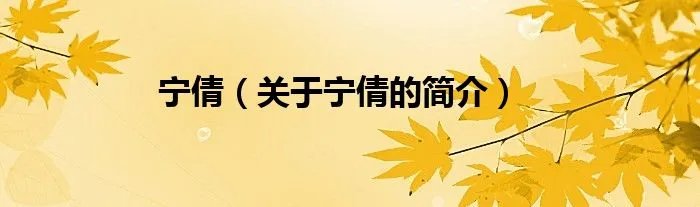 宁倩（关于宁倩的简介）