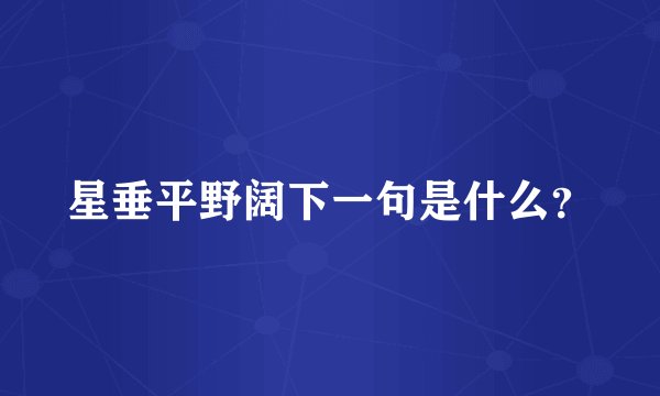 星垂平野阔下一句是什么?