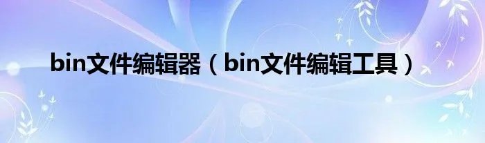 bin文件编辑器（bin文件编辑工具）