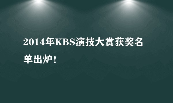 2014年KBS演技大赏获奖名单出炉！