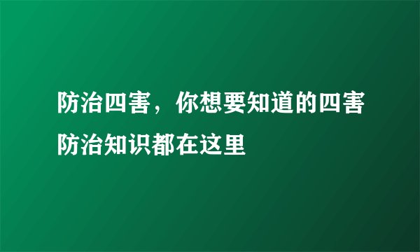 防治四害，你想要知道的四害防治知识都在这里