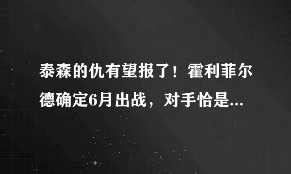 泰森的仇有望报了！霍利菲尔德确定6月出战，对手恰是麦克布莱德
