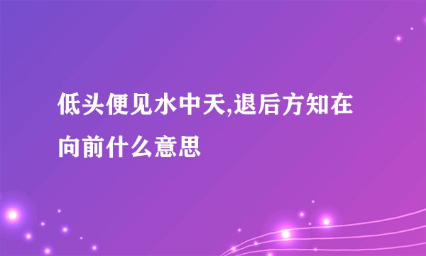 低头便见水中天,退后方知在向前什么意思