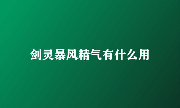 剑灵暴风精气有什么用