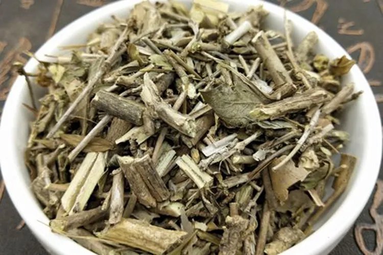 白马骨图片
