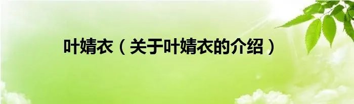 叶婧衣（关于叶婧衣的介绍）