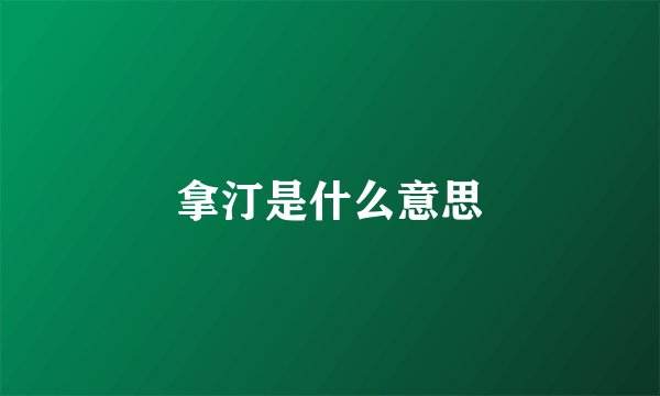 拿汀是什么意思