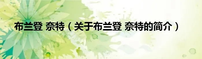 布兰登 奈特（关于布兰登 奈特的简介）