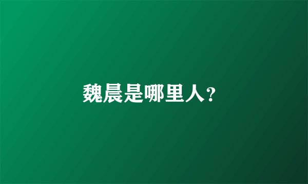 魏晨是哪里人？