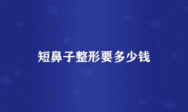 短鼻子整形要多少钱