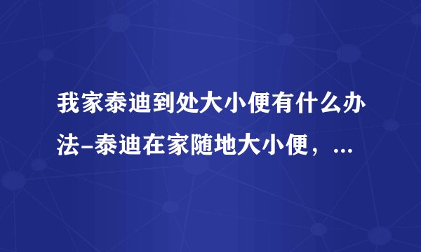 我家泰迪到处大小便有什么办法-泰迪在家随地大小便，怎么办？