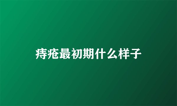 痔疮最初期什么样子