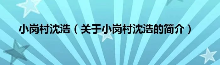 小岗村沈浩（关于小岗村沈浩的简介）