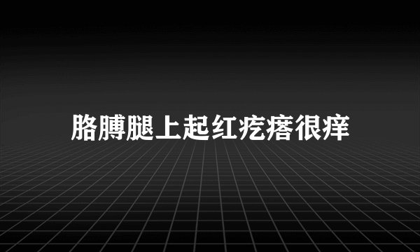 胳膊腿上起红疙瘩很痒