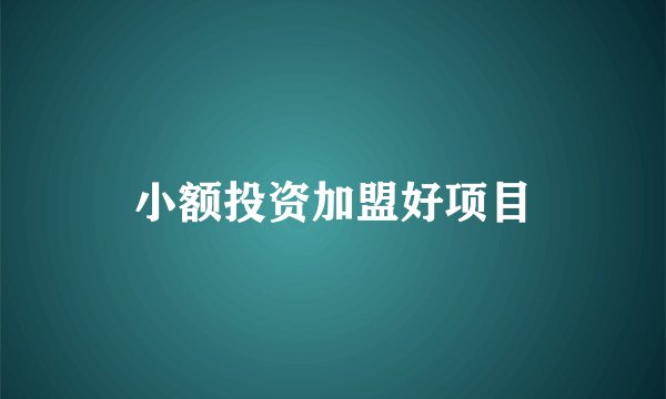小额投资加盟好项目