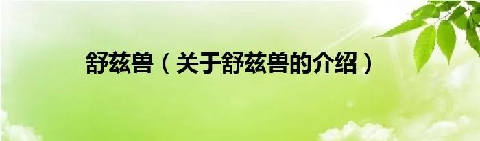 舒兹兽（关于舒兹兽的介绍）