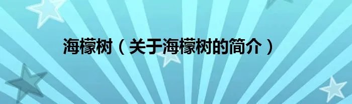 海檬树（关于海檬树的简介）