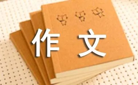 月光下的村庄铁蛋六年级作文